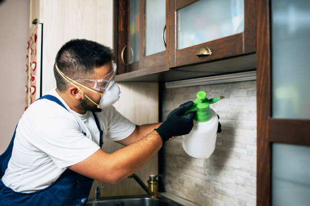 Wildlife Control Services in Miami, AZ