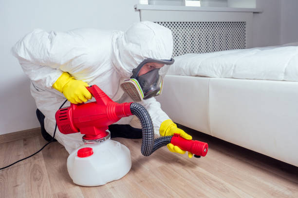 Best Affordable Pest Control Services  in Miami, AZ