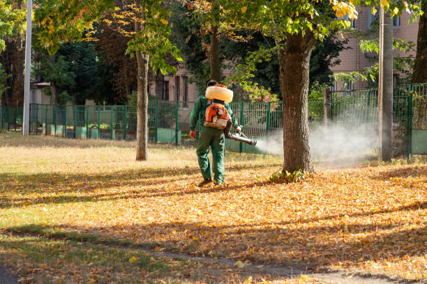 Reliable Miami, AZ Pest Control Solutions