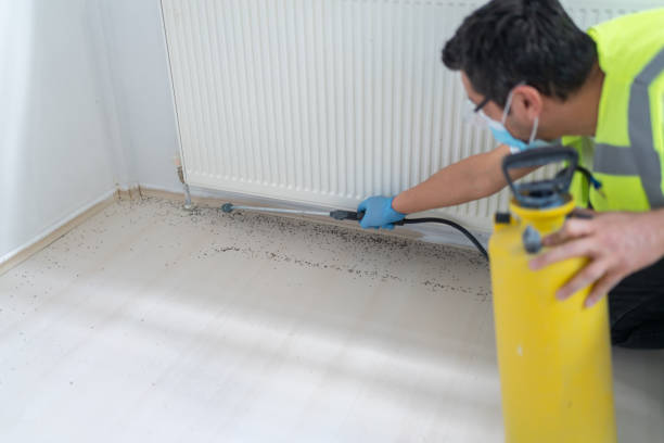 Best Pest Control for Homes  in Miami, AZ