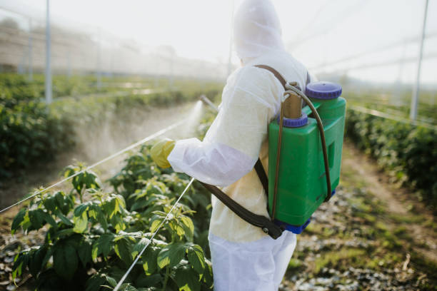  Miami, AZ Pest Control Pros